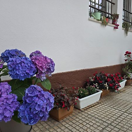 Hotel Aleks Shkodra Exterior foto