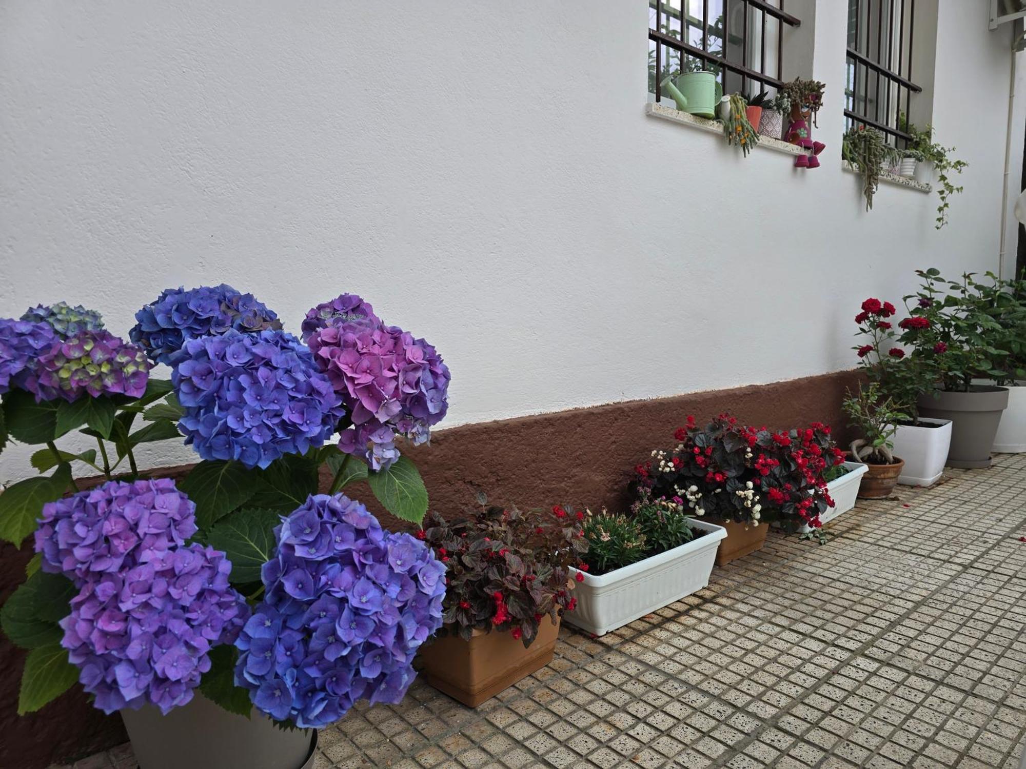Hotel Aleks Shkodra Exterior foto